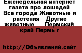 Еженедельная интернет - газета про лошадей - Все города Животные и растения » Другие животные   . Пермский край,Пермь г.